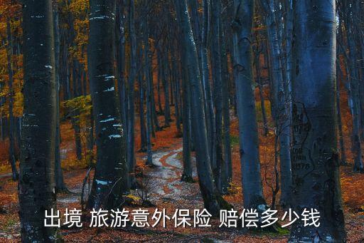 出境 旅游意外保险 赔偿多少钱