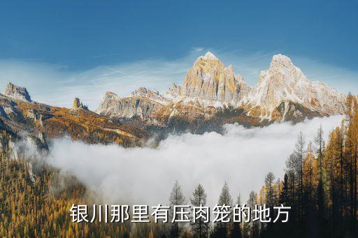  银川那里有压肉笼的地方