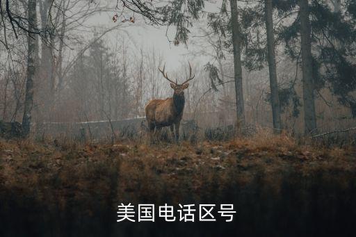 美国电话区号