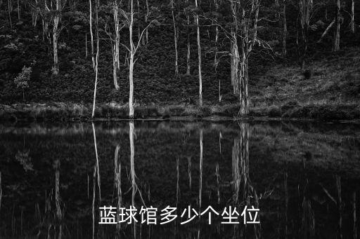 蓝球馆多少个坐位