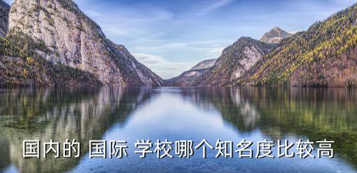 国内的 国际 学校哪个知名度比较高