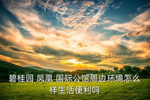 贵州避暑楼盘凤凰国际,贵州最好的避暑房楼盘价格表