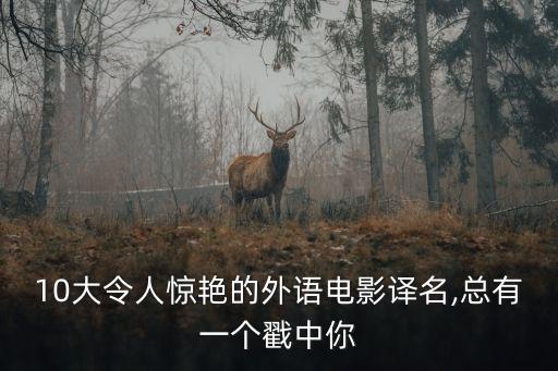 国外影片名由哪翻译
