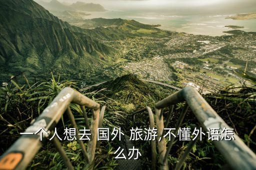 一个人想去 国外 旅游,不懂外语怎么办