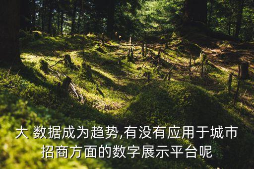 国外 地产 大数据