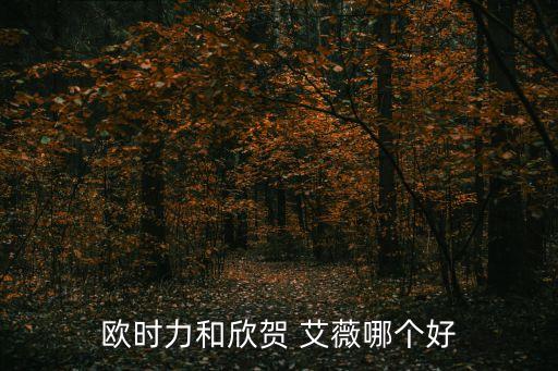 艾薇国际