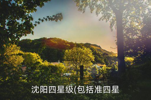 沈阳四星级(包括准四星