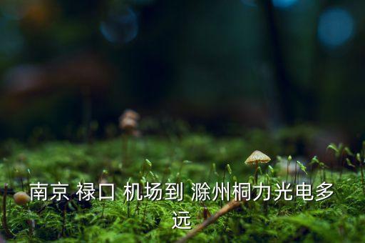 南京 禄口 机场到 滁州桐力光电多远