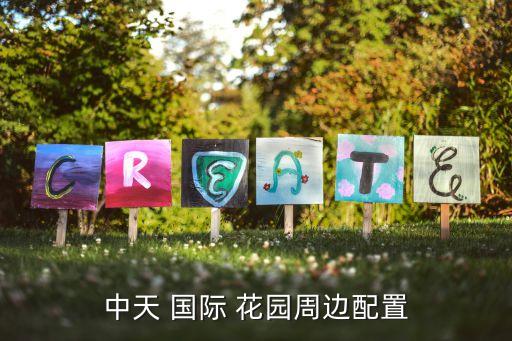 中天 国际 花园周边配置