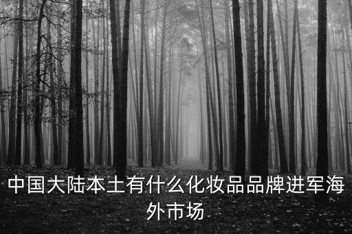 中国大陆本土有什么化妆品品牌进军海外市场