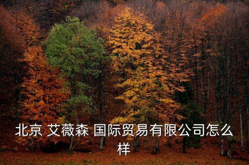 北京 艾薇森 国际贸易有限公司怎么样