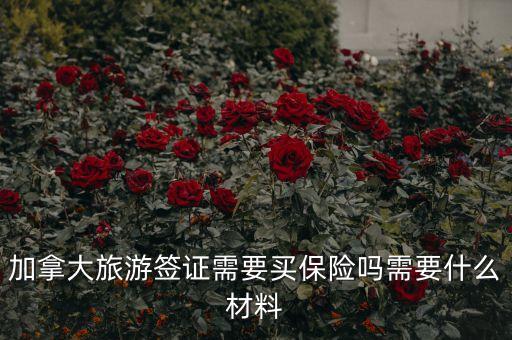 加拿大旅游签证需要买保险吗需要什么材料