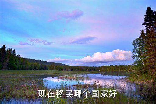 现在移民哪个国家好