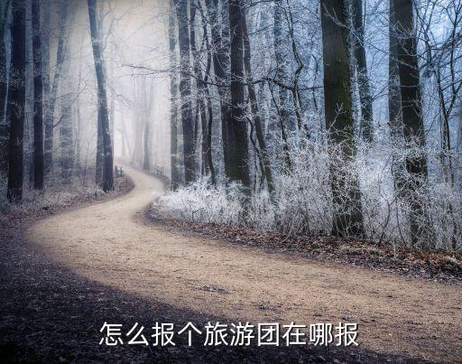 怎么报个旅游团在哪报