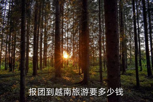 报团到越南旅游要多少钱