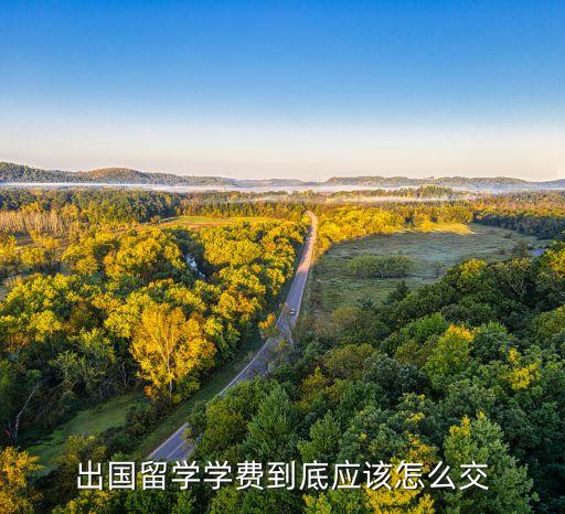 出国留学学费怎么交最划算，生留学学费怎么交最方便省钱