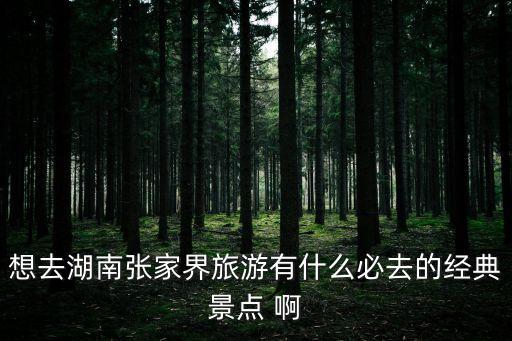 想去湖南张家界旅游有什么必去的经典景点 啊