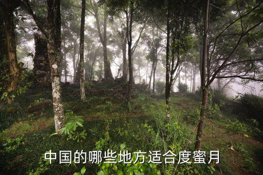 中国的哪些地方适合度蜜月