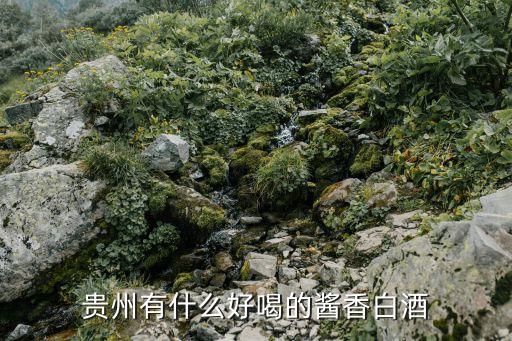贵州有什么好喝的酱香白酒