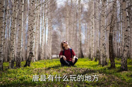 唐县有什么玩的地方