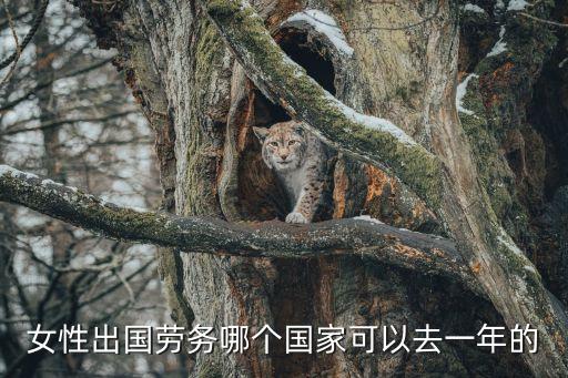 女性出国打工去哪国好，女孩子出国劳务首选哪个国家