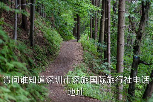 深圳旅行社电话号码，深圳海外国际旅行社营业部电话多少啊
