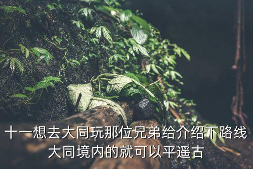 十一想去大同玩那位兄弟给介绍下路线大同境内的就可以平遥古
