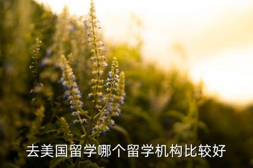 出国留学机构排名哪家口碑好，出国留学咨询机构哪家比较好