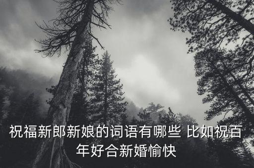 祝福新郎新娘的词语有哪些 比如祝百年好合新婚愉快