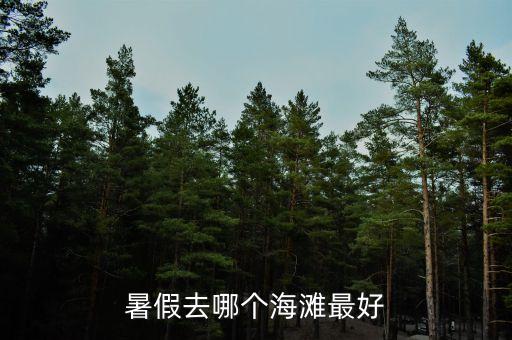暑假去哪个海滩最好