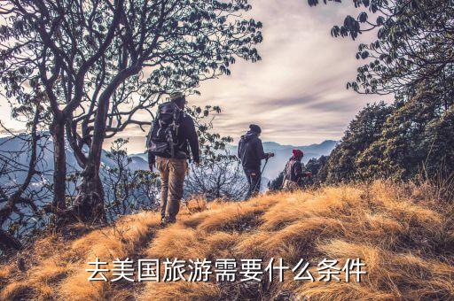 去美国旅游需要什么条件