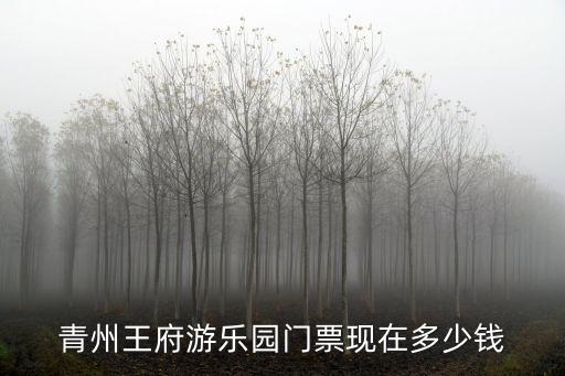 青州王府游乐园门票现在多少钱