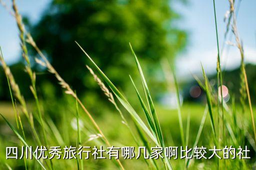 四川优秀旅行社有哪几家啊比较大的社