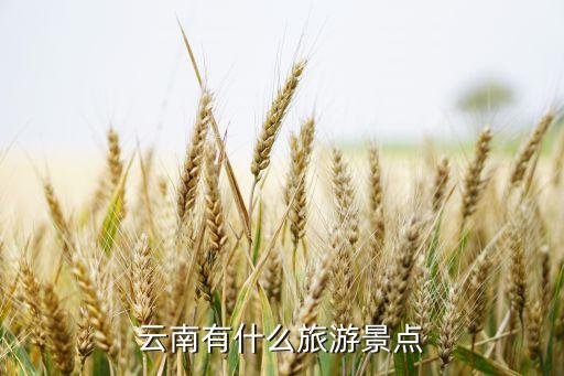 云南有什么旅游景点