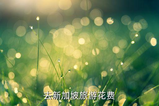 去新加坡旅游花费