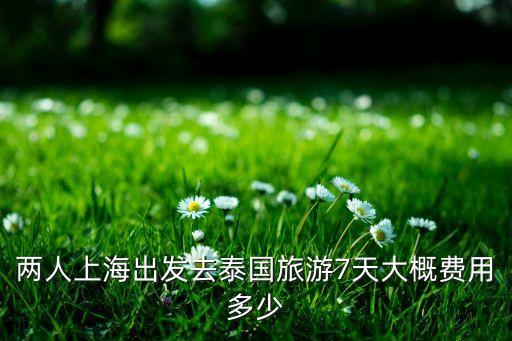 泰国双人七日游多少钱，两人上海出发去泰国旅游7天大概费用多少