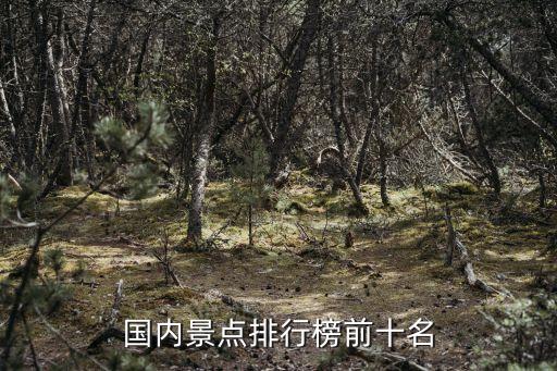 国内景点排行榜前十名