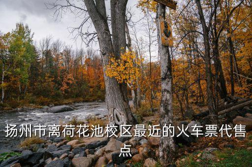 扬州市离荷花池校区最近的火车票代售点