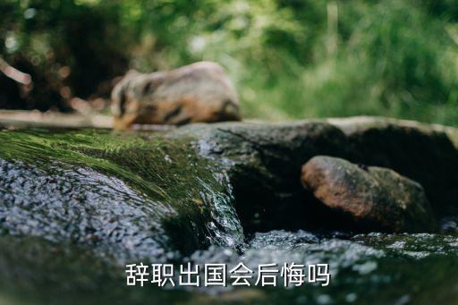辞职出国会后悔吗