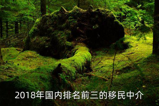 2018年国内排名前三的移民中介