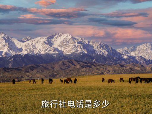 旅行社电话是多少