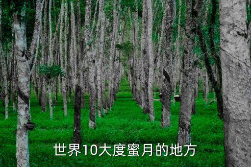 度蜜月去处，推荐几个适合度蜜月的地方