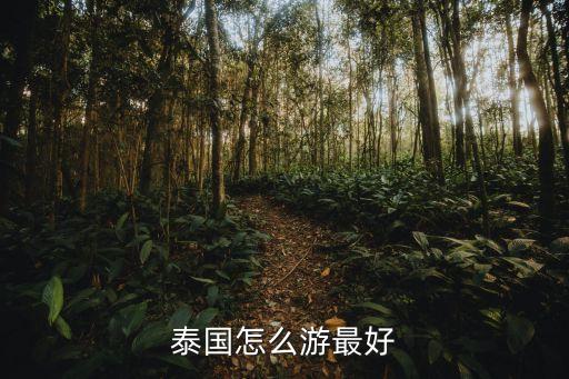 泰国旅游最佳行程，去泰国旅游最佳路线