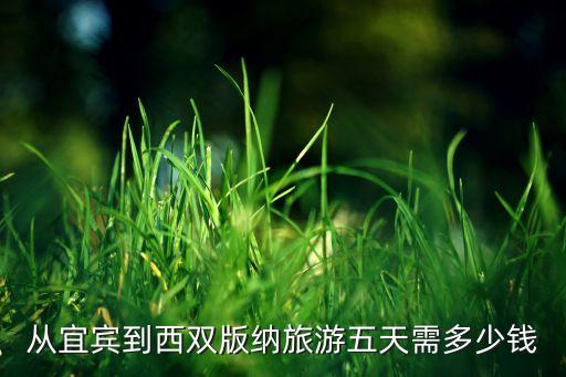 从宜宾到西双版纳旅游五天需多少钱