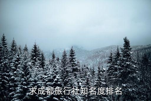 求成都旅行社知名度排名