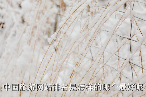 中国旅游网站排名是怎样的哪个最好呢