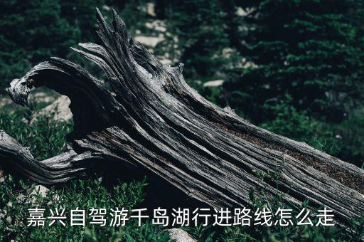 千岛湖旅游攻略 3日游自驾游，自驾游杭州西湖绍兴千岛湖三日游最适合路线及住宿谢谢