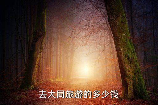 去大同旅游的多少钱