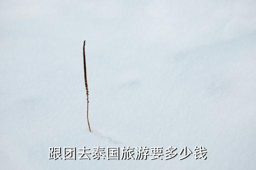 跟团泰国旅游价格表，跟团去泰国旅游要多少钱