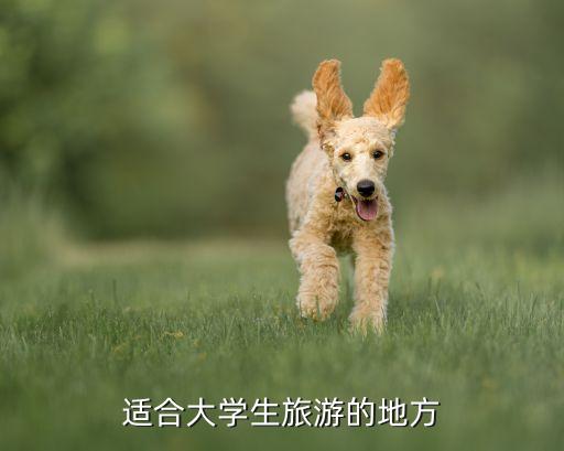 适合大学生旅游的地方